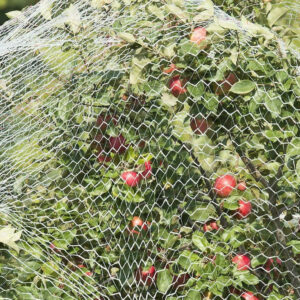 plase-sportive-si-agricole